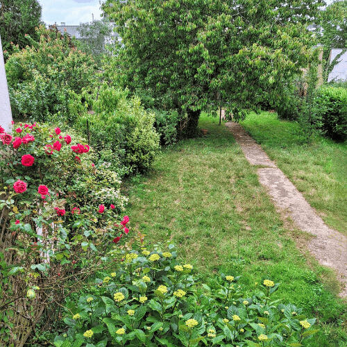 Maison Ressources Photo